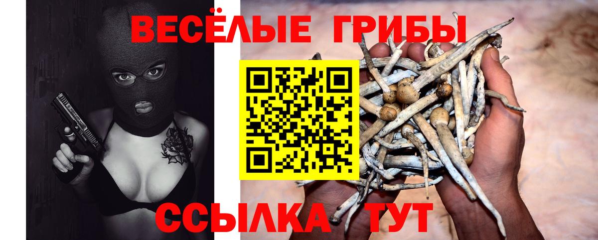 Галлюциногенные грибы прущие грибы  Галлюциногенные грибы Psilocybe  Губаха  Вход с VPN 